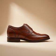 Elevator shoes with raised heel